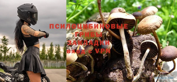 МДПВ Алексин