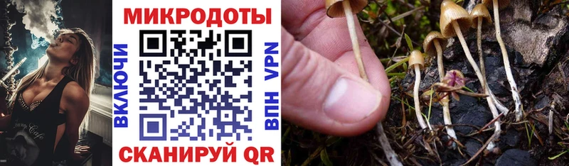 сколько стоит  мега как войти  Галлюциногенные грибы мухоморы  Снежногорск 
