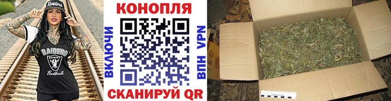 закладка Снежногорск Бошки Шишки OG Kush